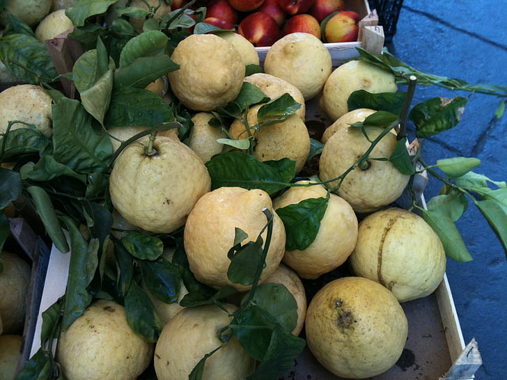 citrony, Sorrento, Itálie, citrusové, jídlo, čerstvé, ovoce