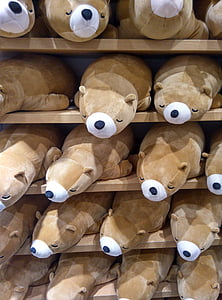 熊, 娃娃, 玩具, 商店, 拍卖, 软, 可爱