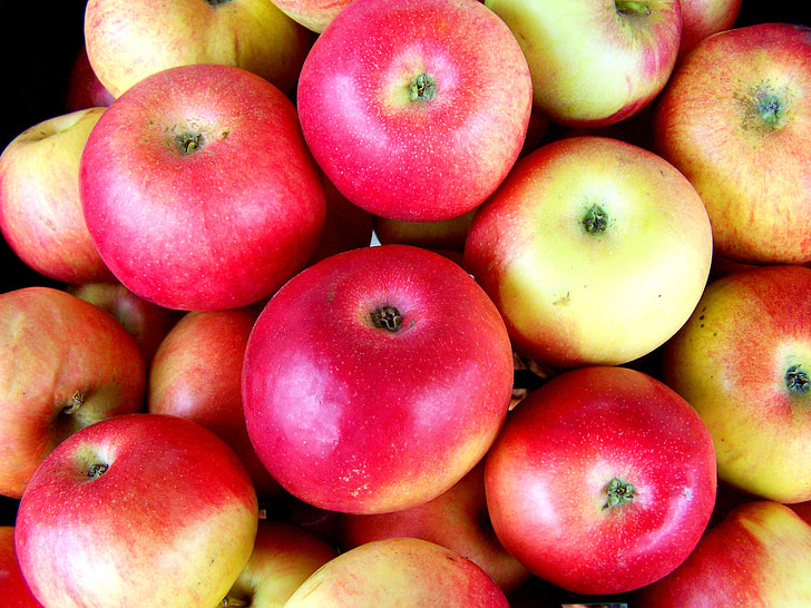 red apple, fruit, food, freshness, organic, ripe, red
