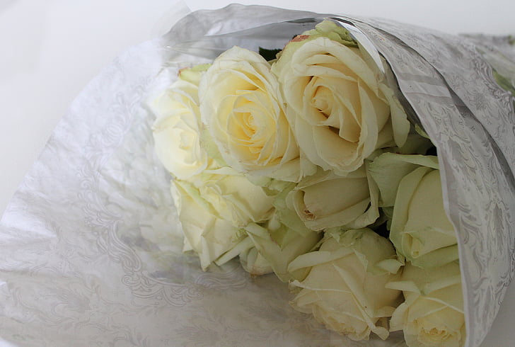 roses, d’emballage, blanc, fleurs, bouquet, fleurs blanches