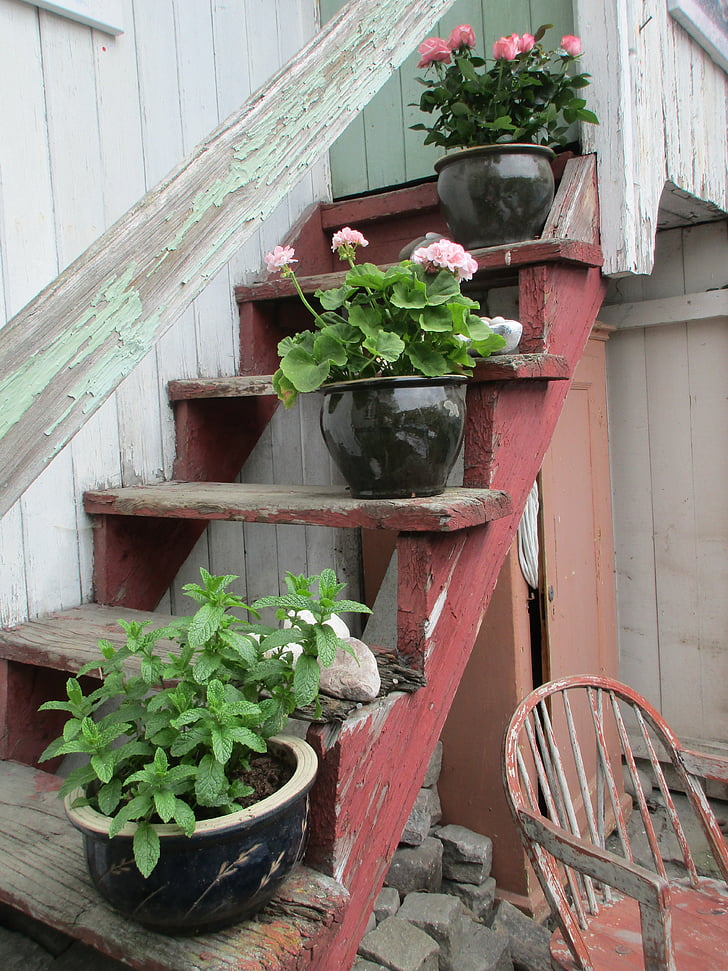 flowers, stairs, summer, home, garden, village