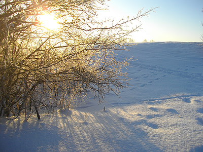 śnieg, Natura, Słońce, zimowe