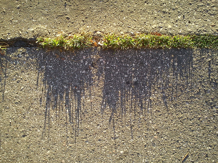 herbe, asphalte, ombre, brins d’herbe, arrière-plans, rue, route
