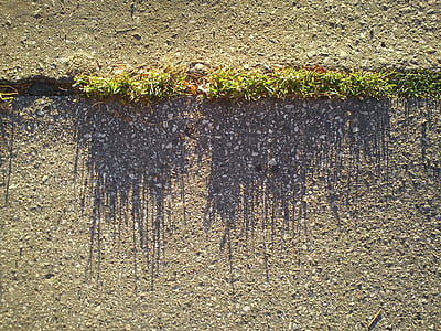 grama, asfalto, sombra, lâminas de grama, planos de fundo, rua, estrada