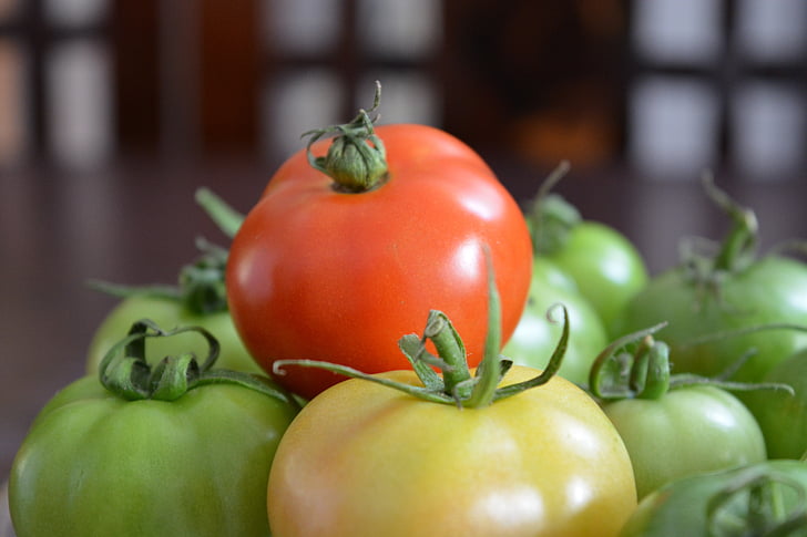 tomaat, groenten en fruit, vers, plantaardige, voedsel, versheid, organische