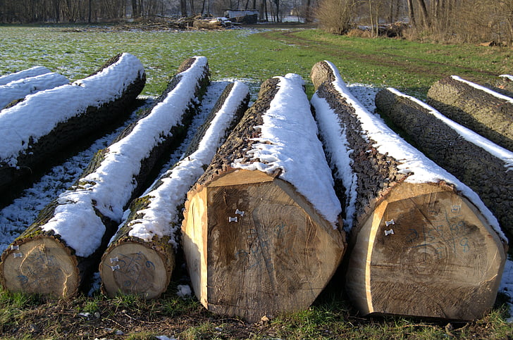 冬, ログ, 雪, 木材, 冷, 雪に覆われました。, vörstetten