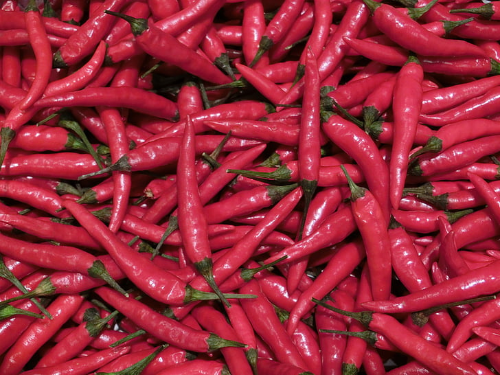 chili, Spice, punane, Sharp, köögiviljad
