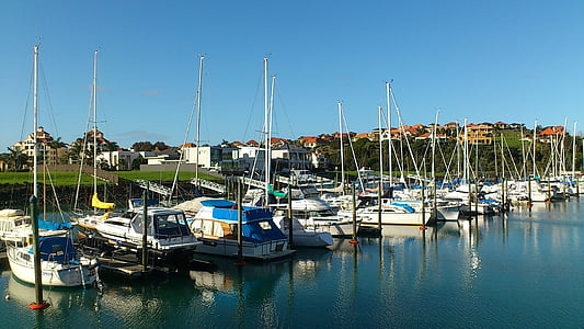 Nowa Zelandia, Oyster petit harbour, Wyspa Północna