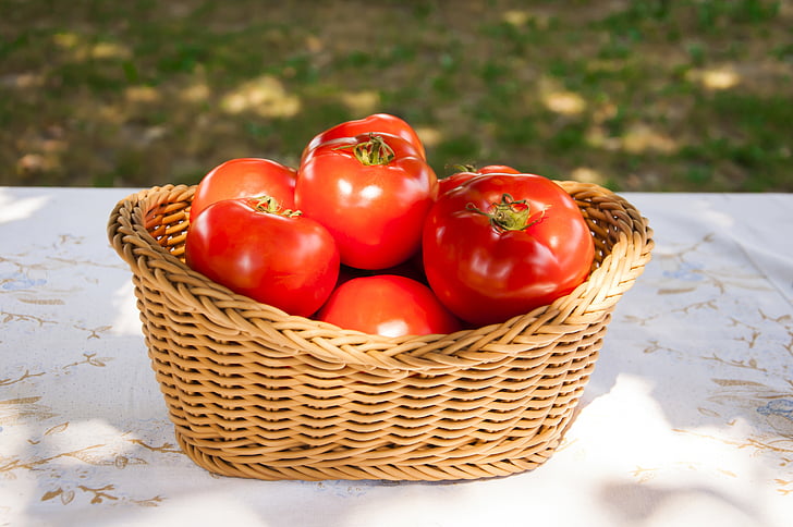 frais, tomates, panier, tomate, nature, légume, rouge