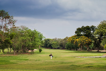golf, course, golfing, golf course, green, sport, grass