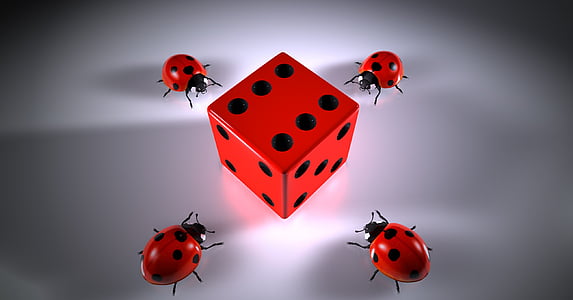 kuubi, Lucky ladybug, mõistatusi, täringuid, ühendades, emotsioon, lahendus