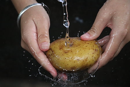 马铃薯, 洗, 静态