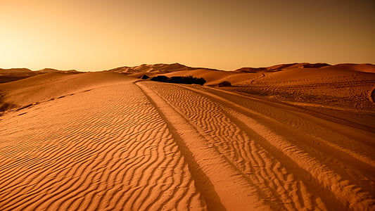 aventura, zonas áridas, estéril, amanecer, desierto, sequía, seco