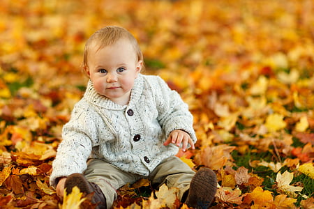 jesień, upadek, chłopczyk, dziecko, ładny, dziecko, odkryty