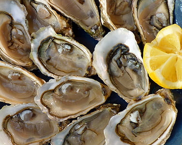 oysters, holidays, sea, the sea, tradition, seafood, food