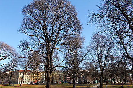 Grünerløkka, Landschaft, Winter, Kälte, schöner Platz, Stadt, charmante