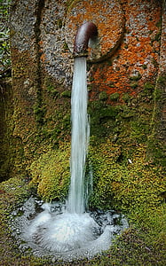 source, jet, drops of water, clear water, water, gardens, moss
