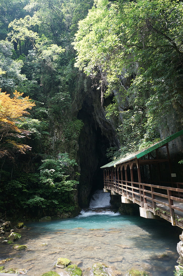 grot, Akiyoshi cave, Japan, Yamaguchi, prefectuur Yamaguchi, akiyoshidai