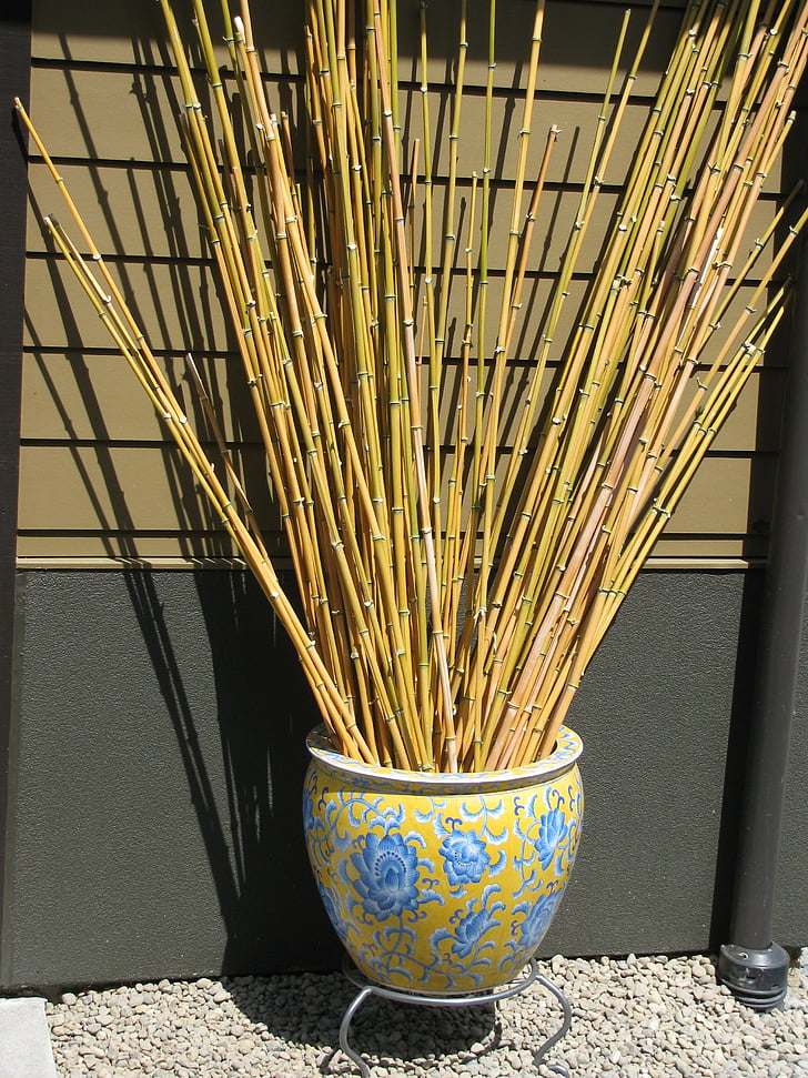 Japanilainen Puutarha, maisema, Bamboo, Zen