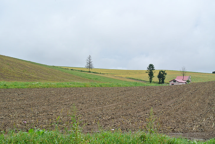 landscape, natural, hokkaido, earth, outdoors, agriculture, nature