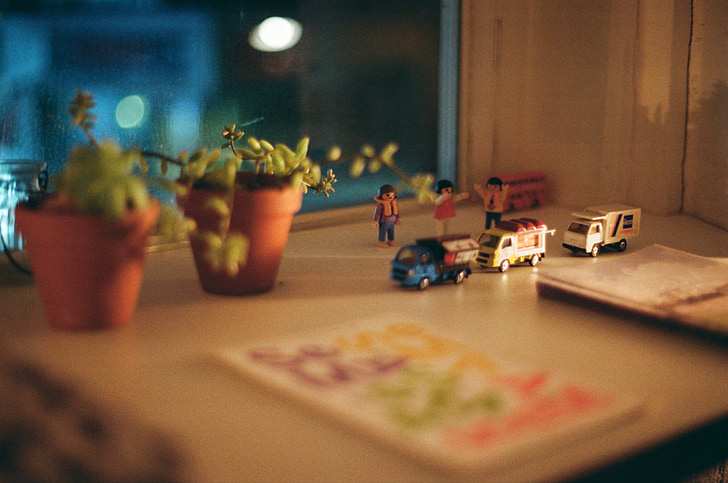 foto, kohvik, atmosfäär, Värv, rekvisiidid, mänguasi, kapseldatud taim