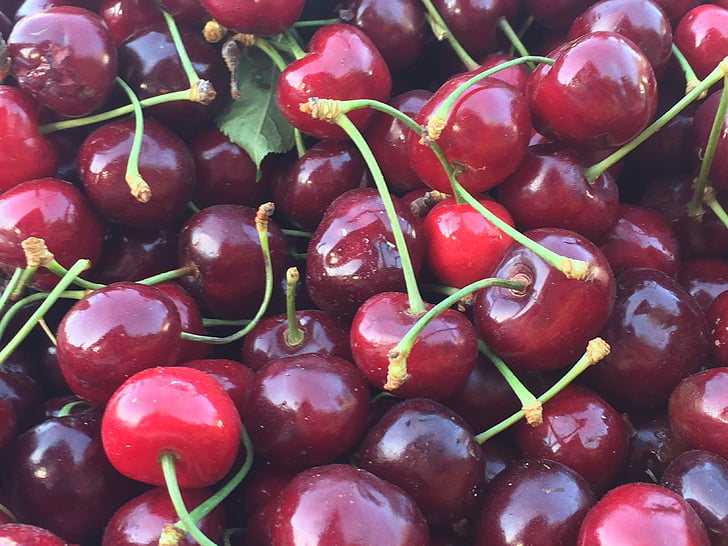 berries, cherries, red, fresh, fruit, market, organic