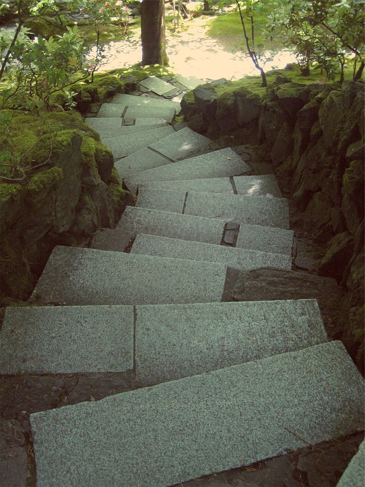gris, béton, escaliers, entouré, arbres, en journée, pierres