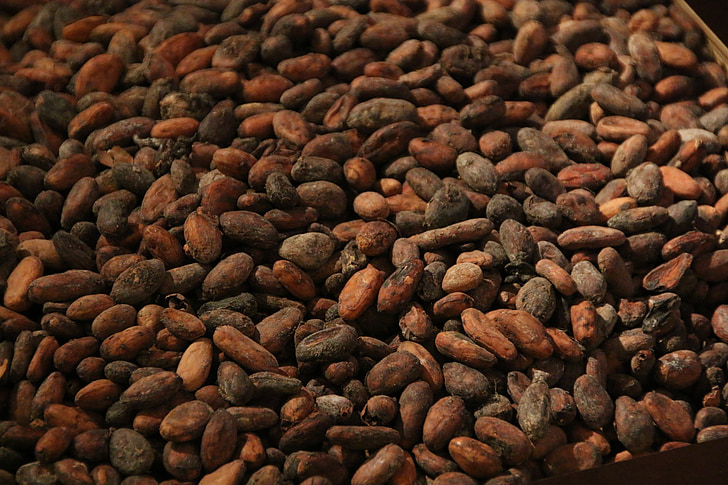 cocoa, bean, roast, chocolate, cocoa beans, brown, backgrounds