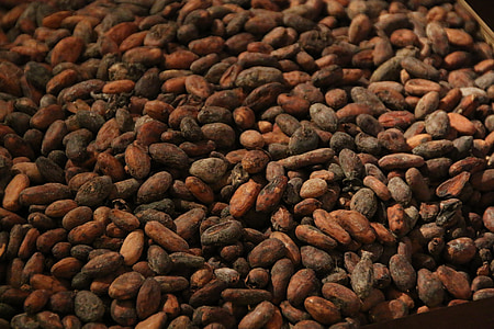 cacao, Boon, gebraden, chocolade, cacaobonen, bruin, achtergronden