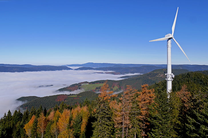 black forest, fall color, herbstnebel, autumn colours, autumn mood, wind energy