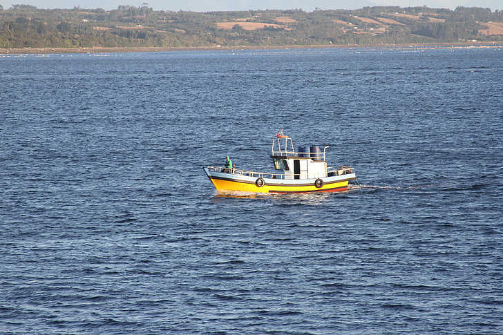 boot, ambachtelijke visserij, zuiden van Chili, nautische vaartuig, zee, water