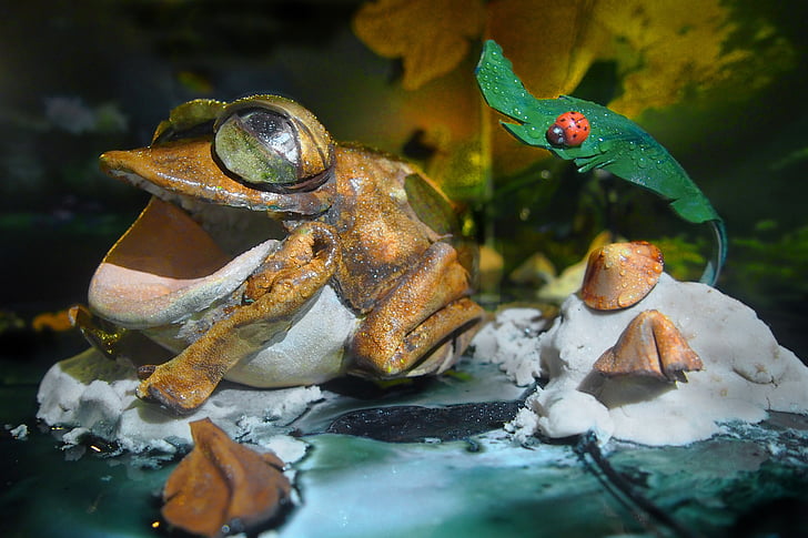 leather, frog, toys