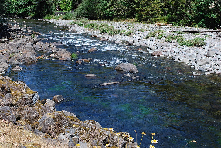 rivière Salmon, MT, hotte, Oregon