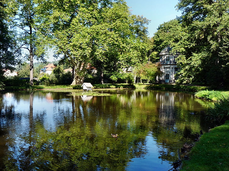 garden pillnitz, dresden, lake, park, pond, reflection, water