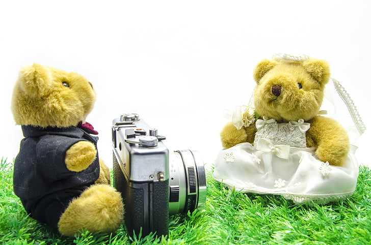 valentine, wedding, bear, old camera, vintage camera, film camera, white background