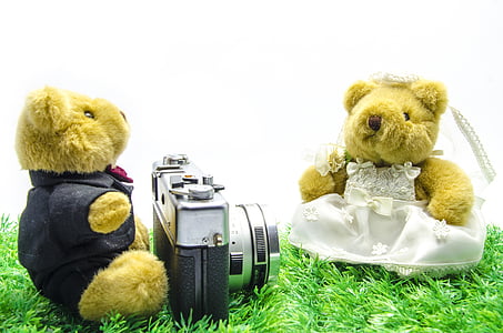 발렌타인, 웨딩, 곰, 오래 된 카메라, 빈티지 카메라, 필름 카메라, 흰색 배경