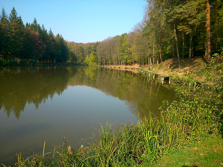 Jezioro, Natura, wody, Park, lasu, pieszo, woda reflection
