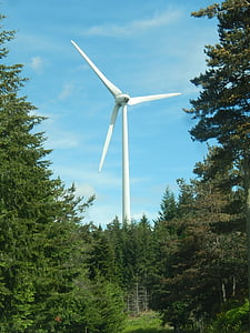 sviluppo sostenibile, energia, turbina, ambiente, carburante e di elettricità, turbina di vento, energia elettrica