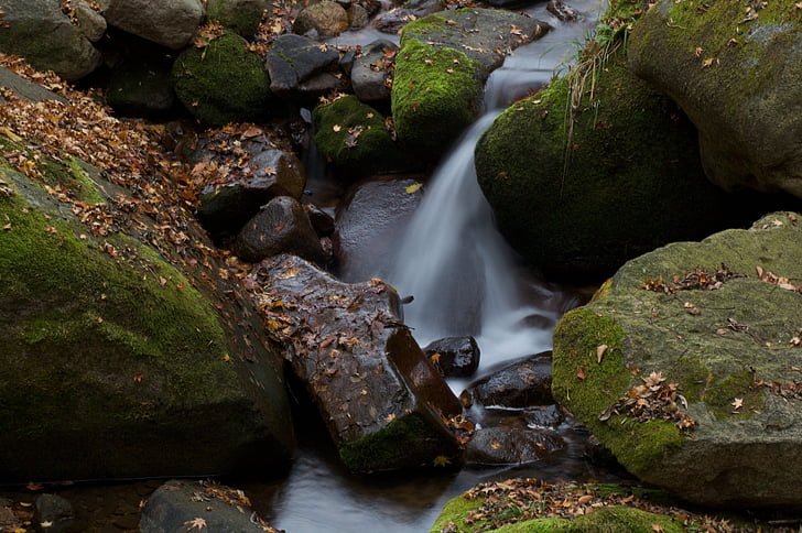 stream, water, stone, fall, china shenyang