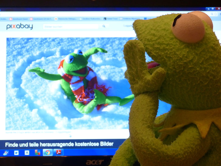 Kermit, frøen, computer, pixabay, Se, eksempelbillede, PC