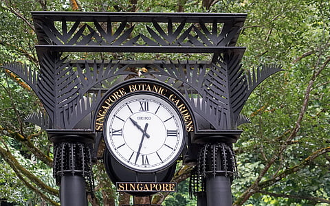 relógio, jardim botânico, Cingapura, Parque, entrada, tempo de, tempo