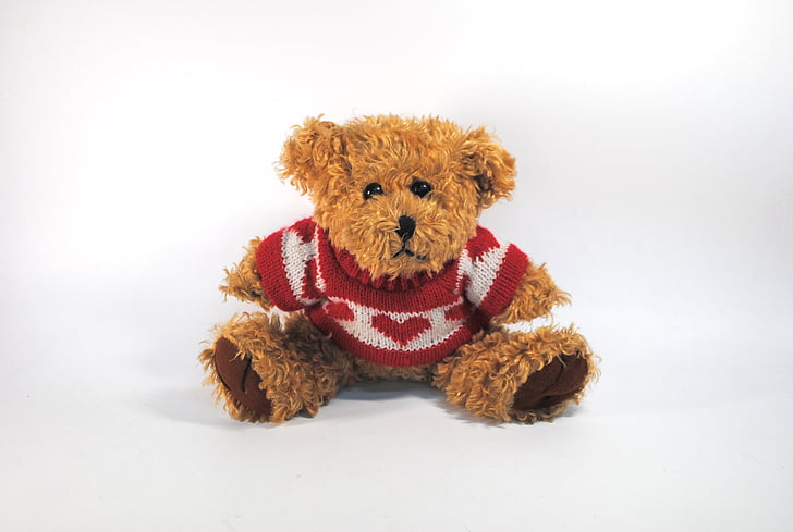 Teddy, regalo, oso de, juguete, sensibilidad, amor