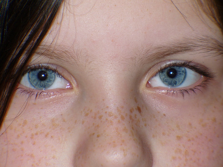 otrok, oči, modra, otrok, obraz, dekle, ljudje