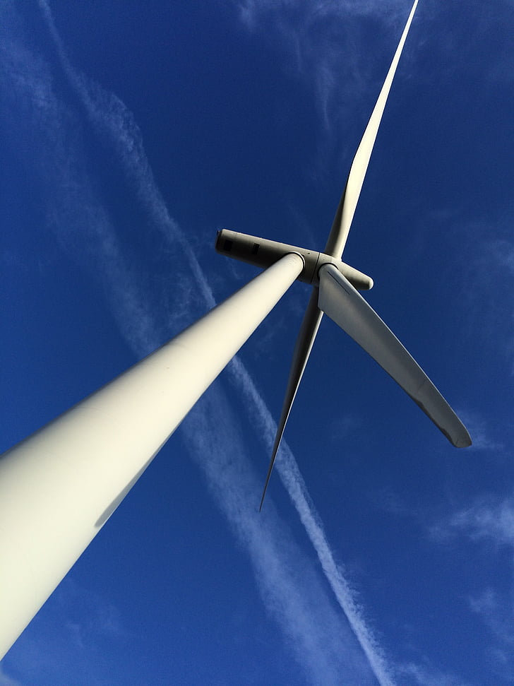 vindmøllepark, vind, turbine, vedvarende, energi, whitelee