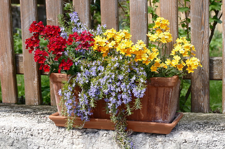 bunga, balkon, pot bunga, alam, balkon tanaman, fasad, musim semi