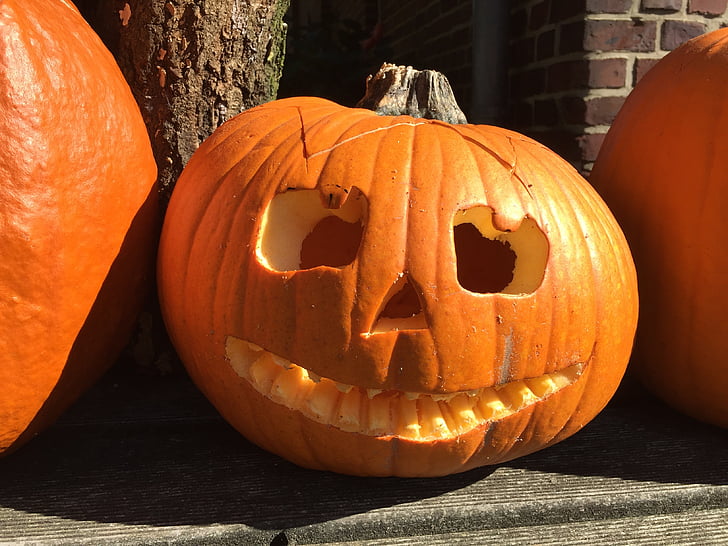 pumpa, Halloween, spöken, hösten, Orange, grönsaker, skörd