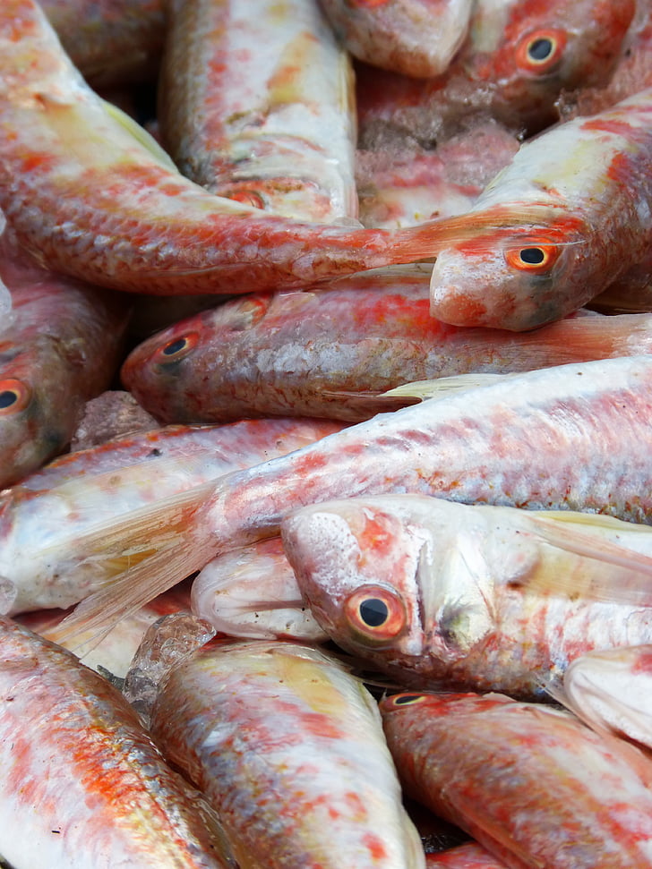 Raudonoji kefalė, šviežia žuvis, Viduržemio jūros dieta, molls, Rogers