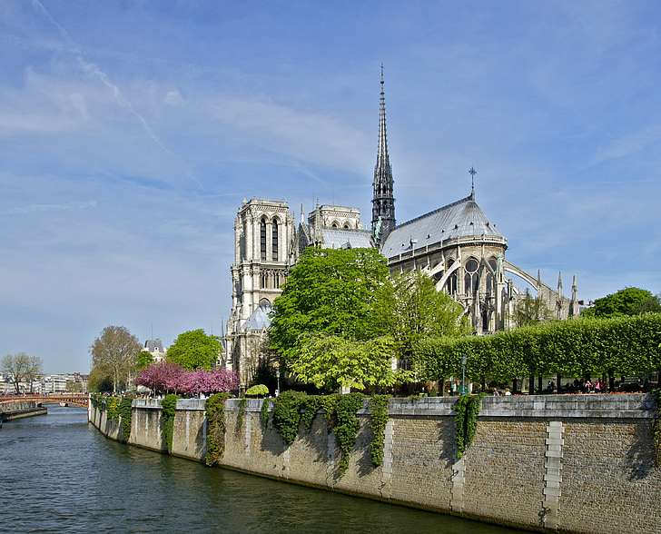 Notre-dame, París, França, Sena, riu, l'aigua, flors