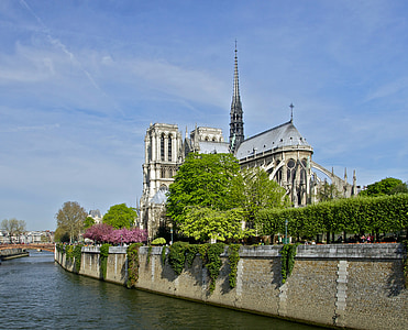 Notre-dame, París, França, Sena, riu, l'aigua, flors