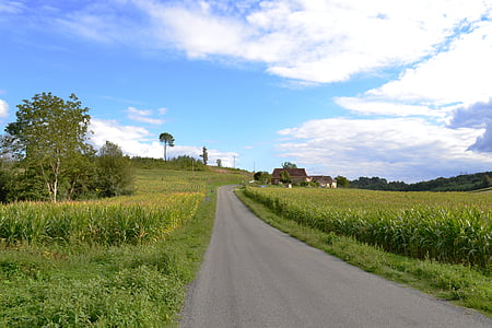 Straße, Pfad, Mais-Feld, Felder, Landwirtschaft, Natur, Landschaft